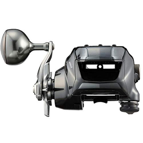 Daiwa 21 Seaborg 300J - Walmart.ca