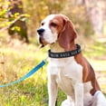 thumbnail image 5 of Collar de perro personalizado, nombre de mascota y número de teléfono bordados personalizados, anillo en D de liberación rápida, 5 of 5