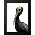 thumbnail image 2 of Ogren, Sarah 12x14 Black Modern Framed Museum Art Print Titled - Brown Pelican, 2 of 5