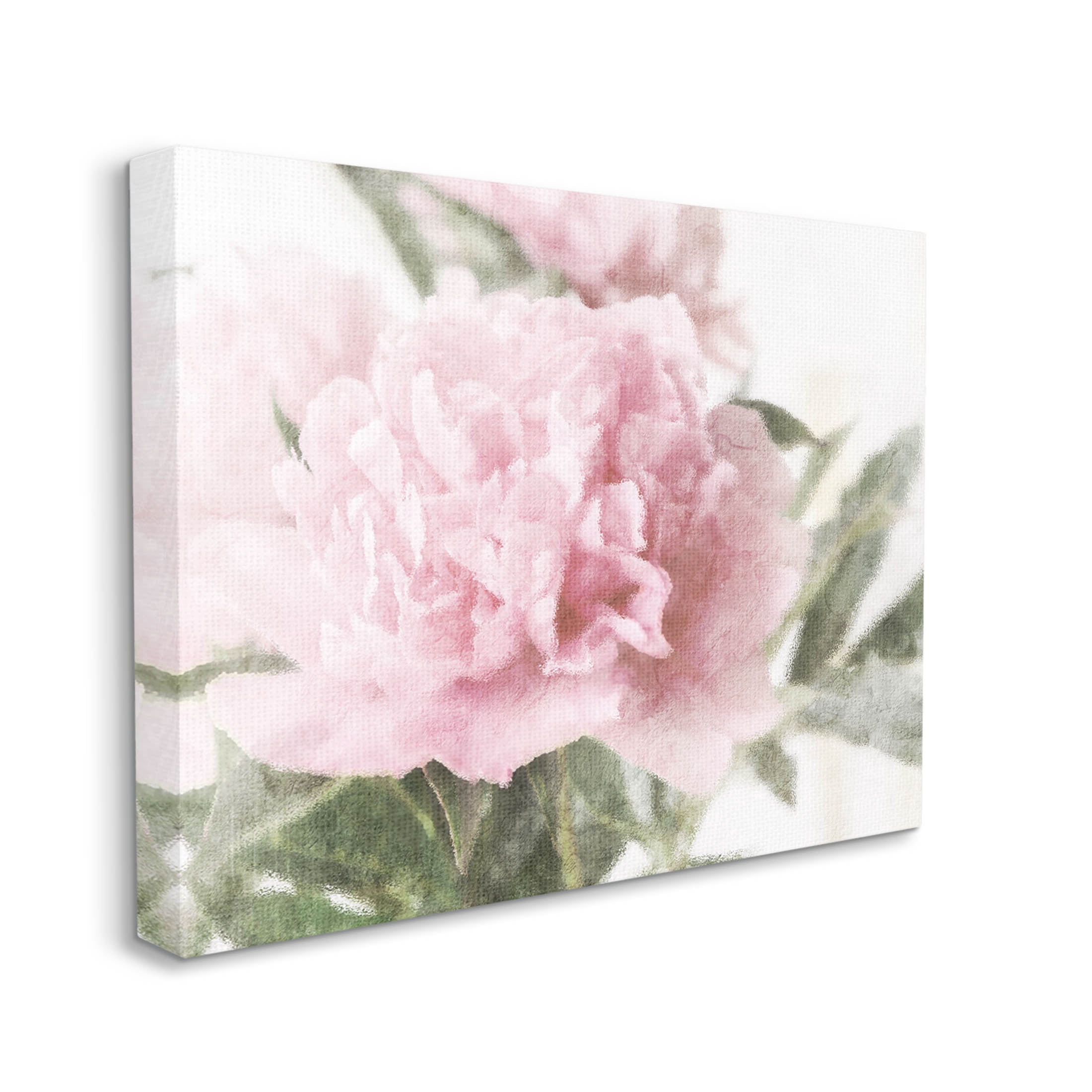 Soft Pink Carnation Blossom Botanical & Floral Graphic Art Gallery Wrapped Canvas Print Wall Art