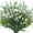 White, variant on TETOU 12 Bundles Artificial Plants Outdoor,UV Resistant Fake Monkey Grass with Flowers for Pot,Lavender Flowers Plant Decor for Window Garden Patio Hanging Planter Pathway Front Porch