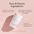 thumbnail image 4 of Alaya Naturals Multi Collagen Peptides Powder, Types I, II, III, V & X, Hair Skin & Nails Support, 13.55 oz (40 Servings), 4 of 6