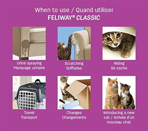 feliway refill best price