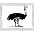 thumbnail image 1 of Ostrich Tapestry, Sketch of Camel Bird Wild Feathered Creature in African Desert Boho Print, Wall Hanging for Bedroom Living Room Dorm Decor, 80W X 60L Inches, Black White Grey, by Ambesonne, 1 of 2