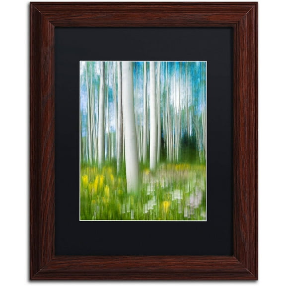 Trademark Fine Art "Aspen Impression" Canvas Art by Michael Blanchette Photography Black Matte, Wood Frame