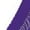 Purple, variant on Women's Belly Dance Bra Tops V Neck Sleeveless Fringe Crop Top Indian Dancer Performance Wear Red L