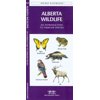 Ontario Birds : A Folding Pocket Guide to Familiar Species - Paperback