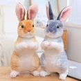thumbnail image 2 of Simulation Kawaii Long Ears Realistic Rabbit Plush Toy Lifelike Animal Stuffed Doll Toys for Kids Girls Birthday Gift Room Decor, 2 of 5