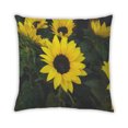 thumbnail image 2 of Ahgly Company Color Focus Yellow Indoor Throw Pillow, 18 inch by 18 inch, 2 of 6