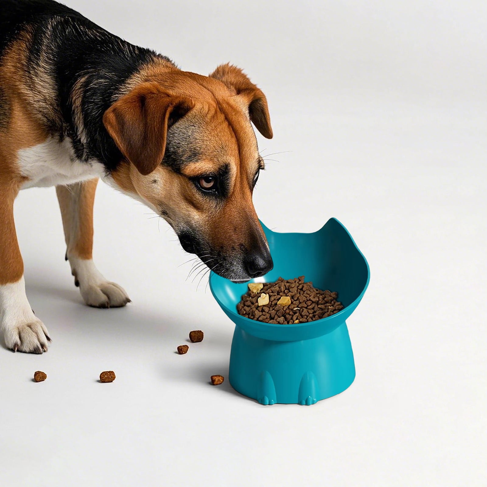 1pcs Tilted Elevated Cat Food Bowl - Cat Bowls Whisker Friendly Anti Vomiting Slanted Feeding Bowls Cute Shallow Bowl A