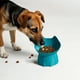 thumbnail image 5 of Peine autolimpiable para gatos y perros,desenredante y eliminador de pelo suelto con un solo botón,peine de dientes densos para mascotas,herramienta de aseo para gatos y perros, 5 of 9