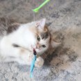 thumbnail image 2 of Pet Zone Reel Fun Canne à Pêche Jouet pour Chat, 2 of 8
