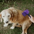 thumbnail image 2 of 1PC Pet Hair Removal & Grooming Kit, Pet Hair Brush for Shedding Long and Short Hair, Easy Clean Retractable Bristles For Cat, Dog, 2 of 6