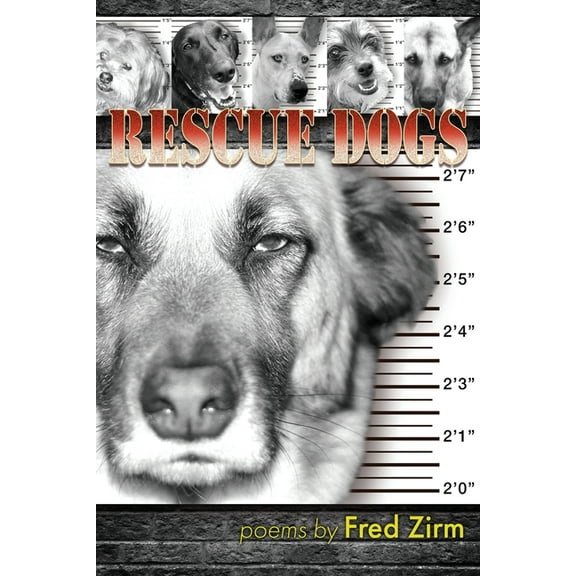 Rescue Dogs, (Paperback)