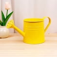 thumbnail image 2 of Ohmyroo Small Watering Can With Handle For Indoor Plants Garden Home Use, 2 of 5