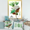 thumbnail image 3 of Designart 'Ancient Plant Life XXVIII' Traditional Framed Art Print, 3 of 4