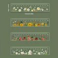 Transparent Ruler Scale 6 Inch Clear Acrylic Ruler 4 Pack Transparent Centimeter Scale ...