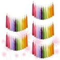 thumbnail image 3 of TUIBELYN 60PCS Papper Tassel Banner 12 Colors Fiesta Fringe Party Banner Tassel Garland Birthday Wedding Party Decoration, 3 of 9