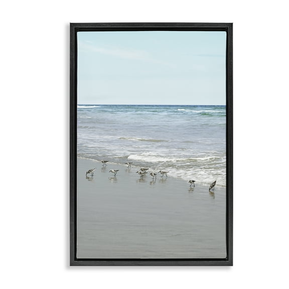 Stupell Industries Energetic Beach Birds Nautical & Beach Photography Black Floater Framed Canvas Art Print Wall Art, 17 x 25