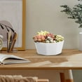 thumbnail image 1 of Flower Pots Large Diameter Planters With Hole For Home Garden Modern Design Great For African And More, 1 of 7