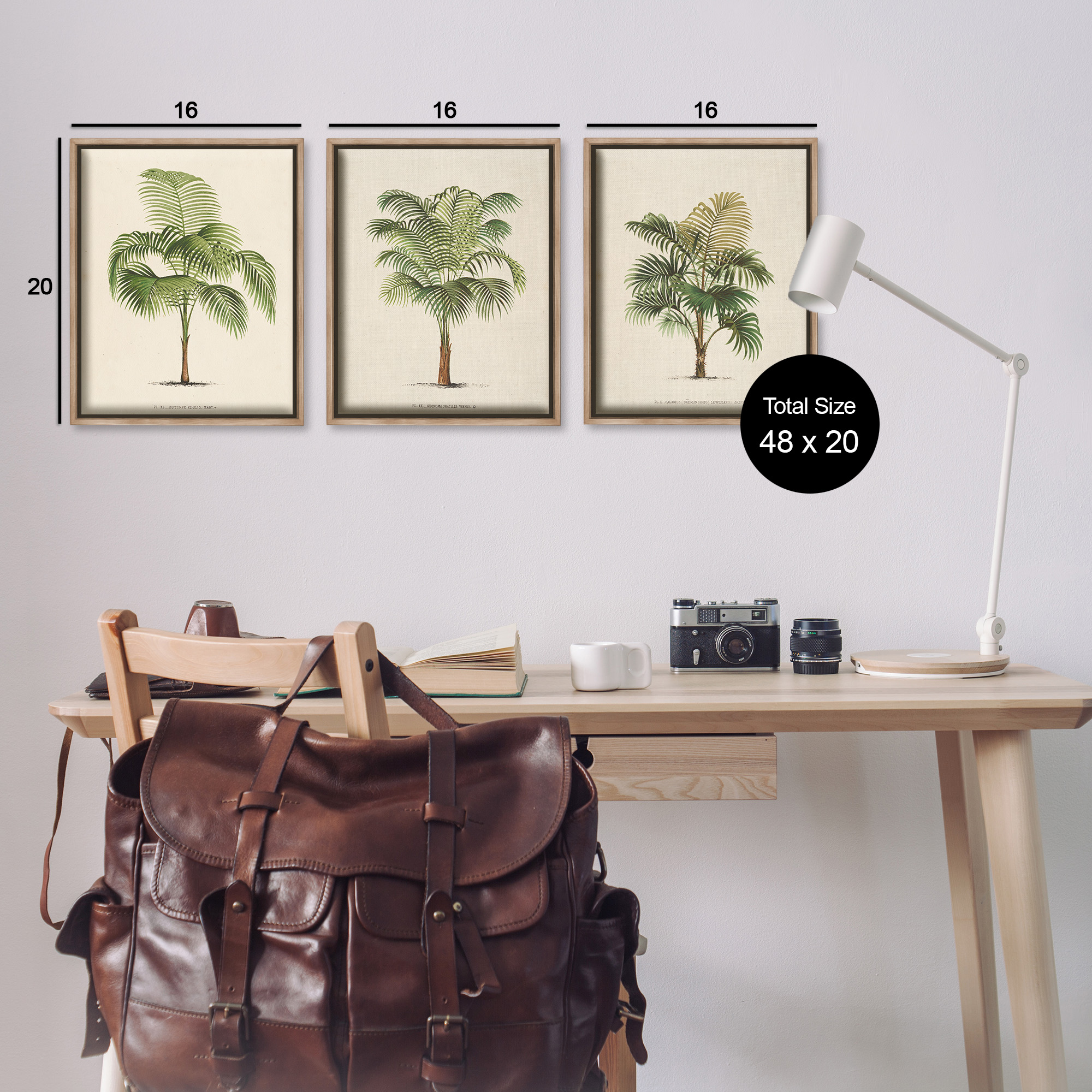 Stupell Industries Les Palmiers Botanical Trio Botanical & Floral Painting Brown Floater Framed Canvas Art Print Wall Art, 17 x 21, Set of 3
