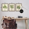 thumbnail image 3 of Stupell Industries Les Palmiers Botanical Trio Botanical & Floral Painting Brown Floater Framed Canvas Art Print Wall Art, 17 x 21, Set of 3, 3 of 9