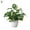 C, variant on Bobasndm Artificial Potted Plants, Artificial Green Leaves with Natural Stone and Cement Pot, Fake Plants for Indoor and Room Decoration