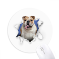 thumbnail image 1 of Damage Animal Paper Pekingese Mouse Pad Comfortable Game Office Mat, 1 of 2