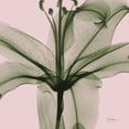 thumbnail image 2 of Koetsier, Albert 26x26 Gold Ornate Wood Framed with Double Matting Museum Art Print Titled - Lovers Lily, 2 of 4