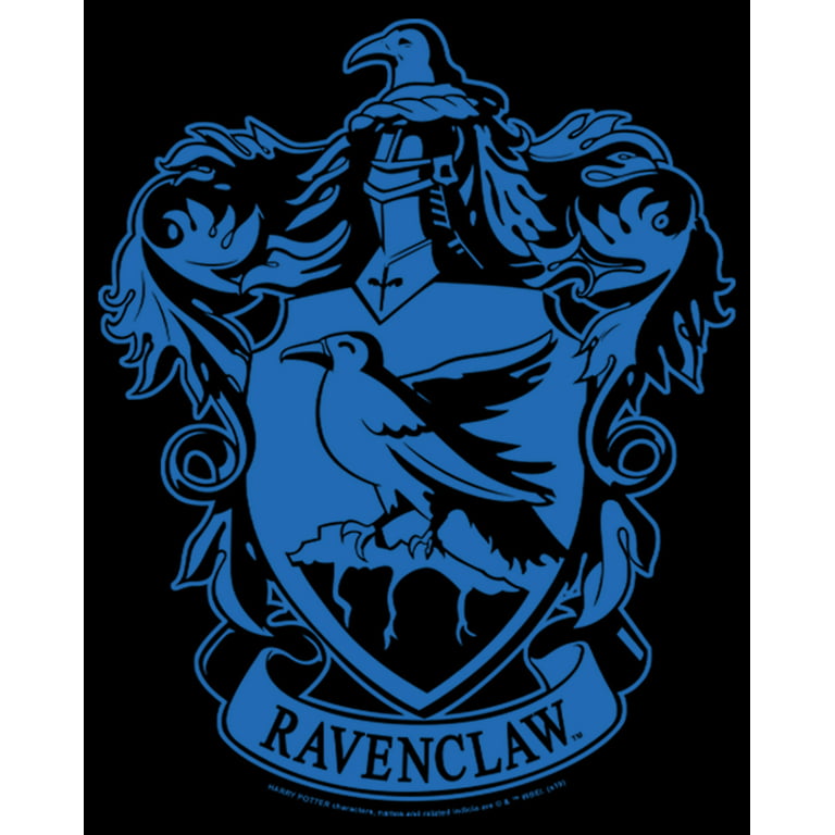 Men\'s Harry Potter Ravenclaw House Crest Pull Over Hoodie Black 3X Large