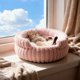 thumbnail image 5 of Cama De Felpa Para Mascotas Cama redonda de felpa para gatos y perros pequeños, suave y esponjosa, 40x40x15cm, lugar cálido y cómodo para dormir, rosa, 1 unidad Rkxzt, 5 of 9