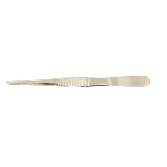 Stainless Steel Forceps