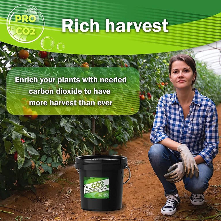 Pro Co2 Air-Forced Bucket, CO2 Booster for Plants, Covers 8x8 Feet, Easy to  Hang - Walmart.com