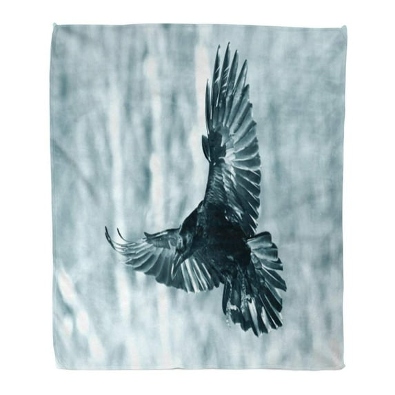 ASHLEIGH Throw Blanket Warm Cozy Print Flannel Bird Flying Black Raven Corvus Corax in Winter Time Looking for Something Comfortable Soft for Bed Sofa and Couch 58x80 Inches