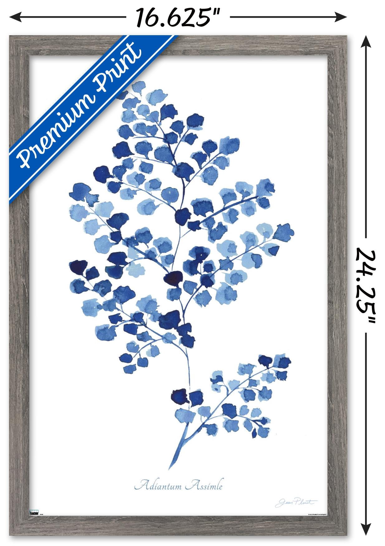 Jean Plout - Indigo Botanical Adiantum Assimle Wall Poster, 14.725" x 22.375" Framed