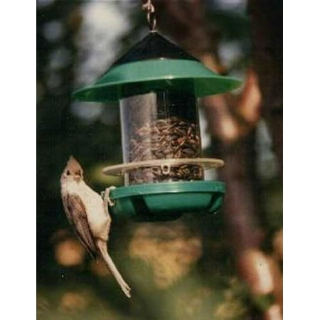 Becks Chickadee Tube Bird Feeder