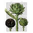 thumbnail image 2 of Fab Funky 20x24 White Modern Wood Framed Museum Art Print Titled - Globe Artichoke Print 1, 2 of 4