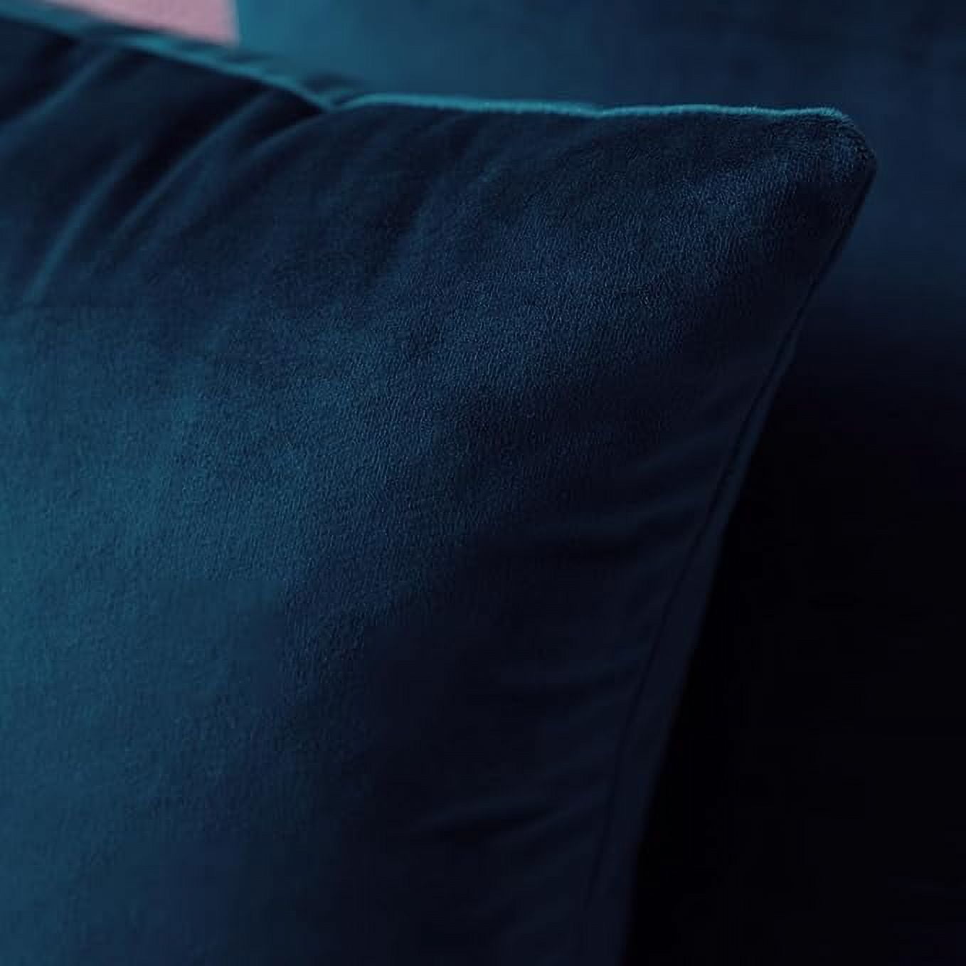Cterwk 2 Pack Velvet Square Throw Pillow Cover with Zipper, Super Soft Luxury Decorative Cushion Cover for Sofa, Couch, Bedroom, 20 x 20inch