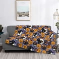 thumbnail image 2 of Rozeui Spooky Cats And Halloween Pumpkins for Flannel Blanket, Soft Fuzzy Plush King Blanket for Winter, Thick and Warm All-Season Bed Throw-50"x40", 2 of 6