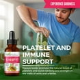 Papaya Liquid Extract Blood Support 1oz Bottle Papaya Leaf Extract