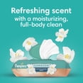 thumbnail image 4 of Pañuelos Pampers Clean & Calm, aroma a flor de algodón, 336 unidades, 4 of 9