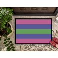 thumbnail image 3 of Carolines Treasures CK8007JMAT Trigender Pride Door Mat Indoor Rug or Outdoor Welcome Mat 24x36 Doormat 24H X 36W, 3 of 4