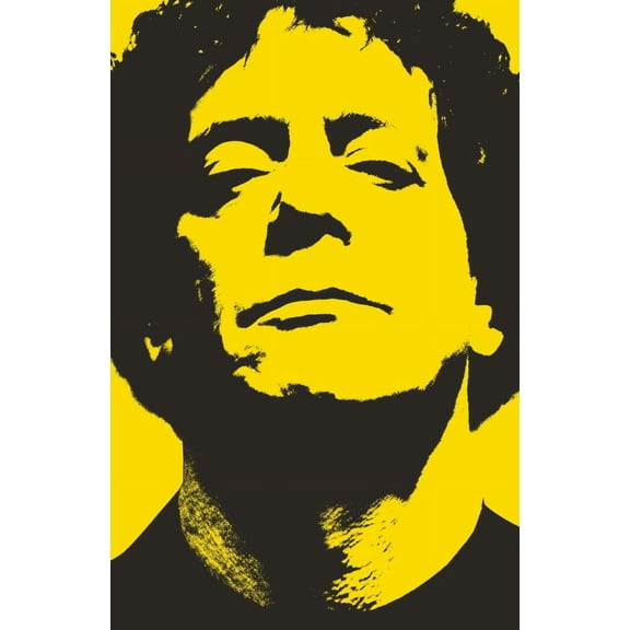 Will Hermes: Lou Reed: The King of New York (Paperback)