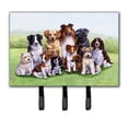 thumbnail image 1 of Carolines Treasures BDBA316BTH68 Springtime Dogs Leash or Key Holder, 1 of 1