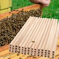 thumbnail image 5 of WHAMVOX 50Pcs Bamboo Bee Refill Tubes for Beekeepers DIY Beehive Pollination Breeding Mating in Garden Balcony, 5 of 8