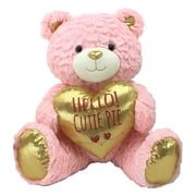 WAY TO CELEBRATE! 13.5" Valentine's Day Pink Bear Plush Toy