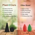 thumbnail image 5 of QUEST -100 Charcoal Incense Cones 1 Bulk Variety Set Assorted 10 Packs 10 Scents Lot, 5 of 6