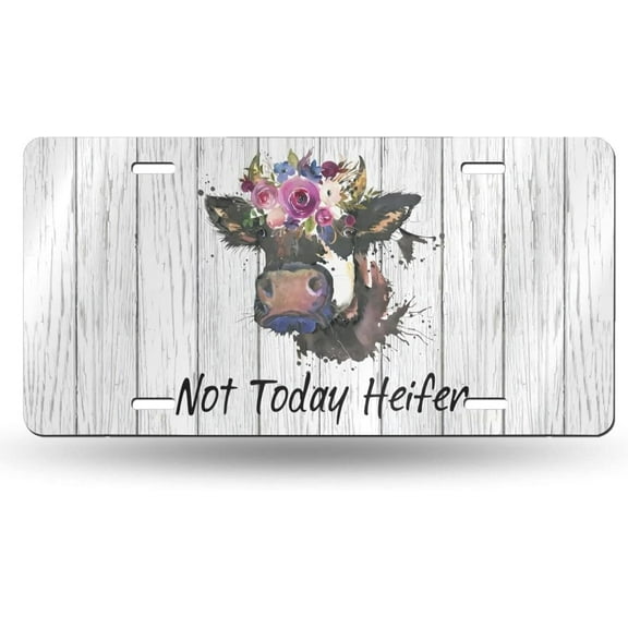 Skull Human Skeleton Posing Isolated Over Front License Plate Aluminum Decorative License Plates Funny Metal Car Plate 6"X12" Novelty Vanity Tag Cover with 4 Holes Car Decor Accessory