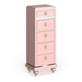 thumbnail image 1 of Bowery Hill Contemporary Wood Swivel Chest with Mirror in Rose Gold, 1 of 5