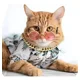 thumbnail image 3 of Collar De Perro Con Cadena Dorada Para Perros Grandes, Colla, 3 of 8